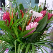 Jilly's Flowers Cardigan Guildhall Market / Marchnad Neuadd y Dref Aberteifi image 5