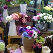 Jilly's Flowers Cardigan Guildhall Market / Marchnad Neuadd y Dref Aberteifi image 6